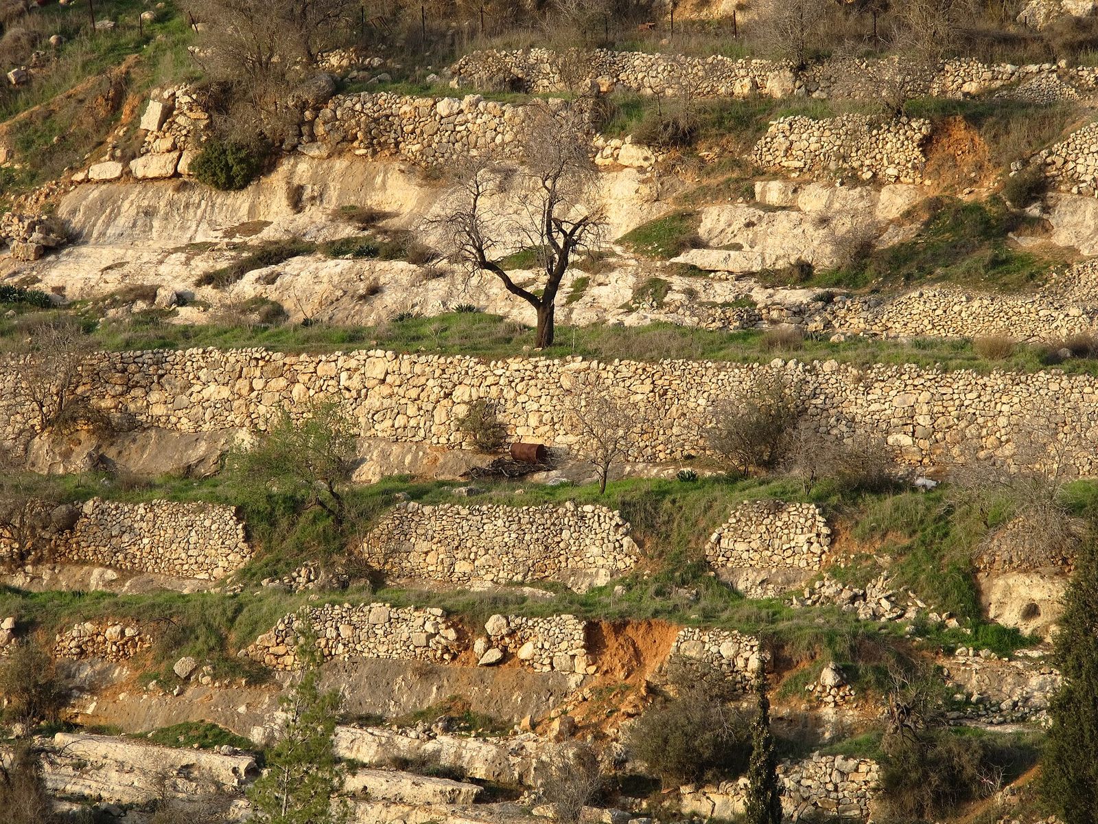 Biblical Topography